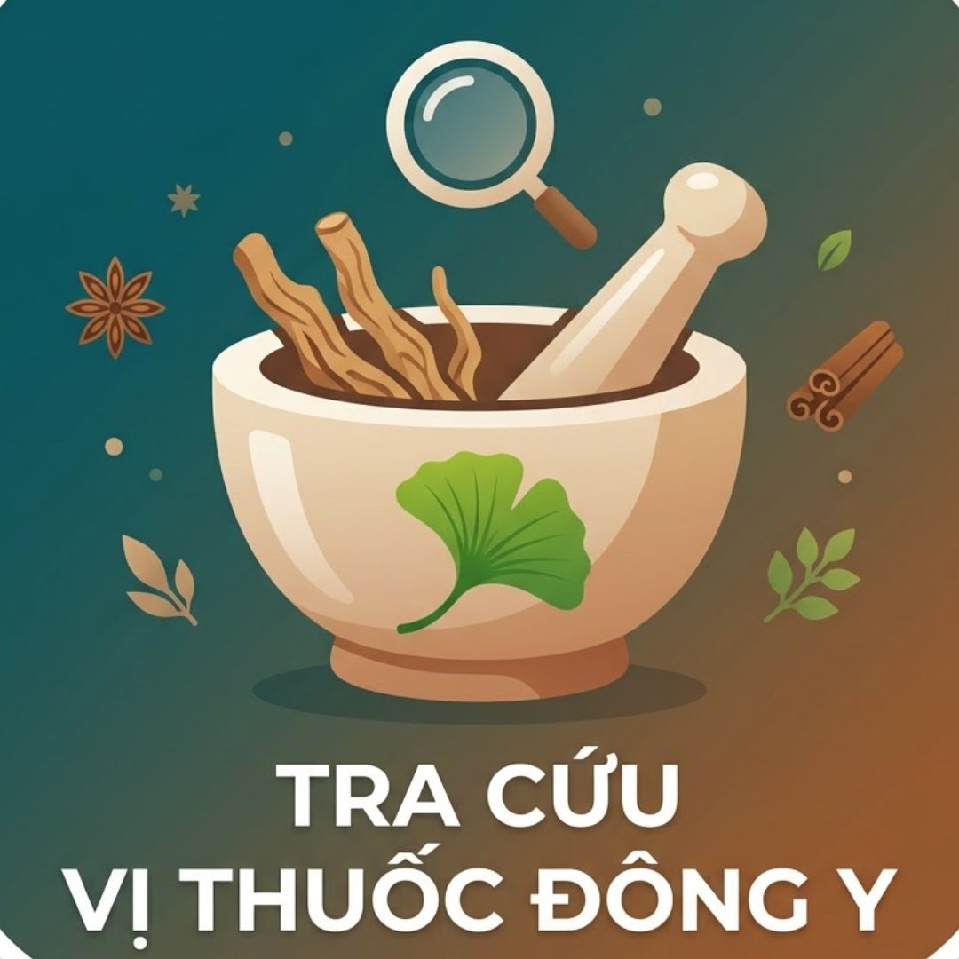 Ứng dụng tra cứu vị thuốc (350 ngàn/ 1 tháng/100 lượt tra cứu cơ bản- 450 ngàn/1 tháng/100 lượt tra cứu chuyên sâu)